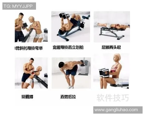 提升力量与塑形的必备工具哑铃训练凳全面解析与使用指南